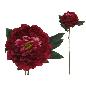 VARA PEONIA 74 CM BURDEOS