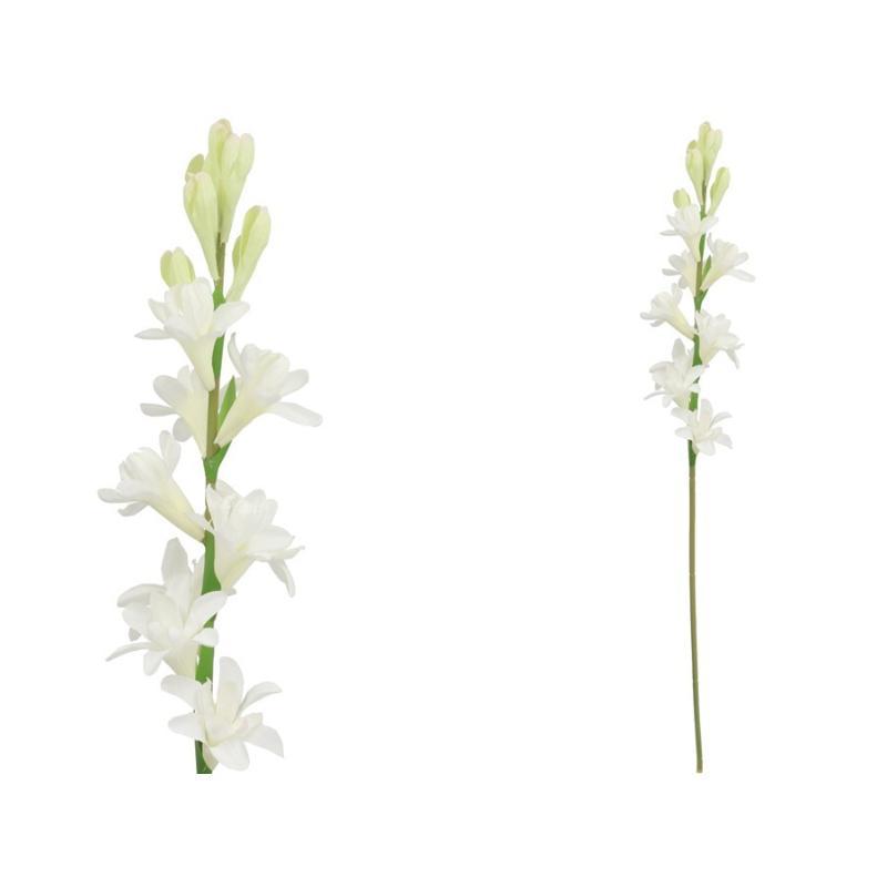 VARA NARDO (S) 67 CM BLANCO