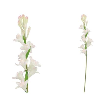 VARA NARDO (S) 67 CM ROSA