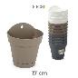 MACETA+PLATO DECO PARED 17 CM ARECA SURTD FUTURE