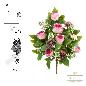 RAMO ENCARADO CAPULLO ROSA MIX 12 TALLOS 49 CM FUCSIA