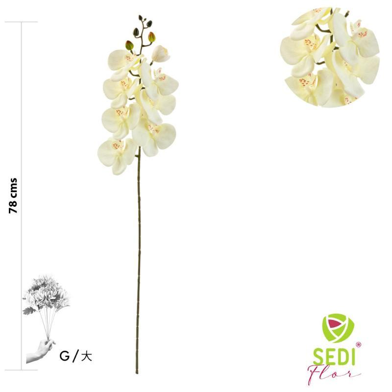 VARA ORQUIDEA 8 PETALOS 78 CM BLANCO
