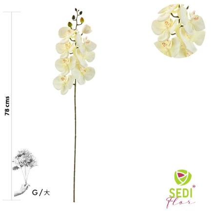 VARA ORQUIDEA 8 PETALOS 78 CM BLANCO