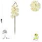 VARA ORQUIDEA 8 PETALOS 78 CM BLANCO