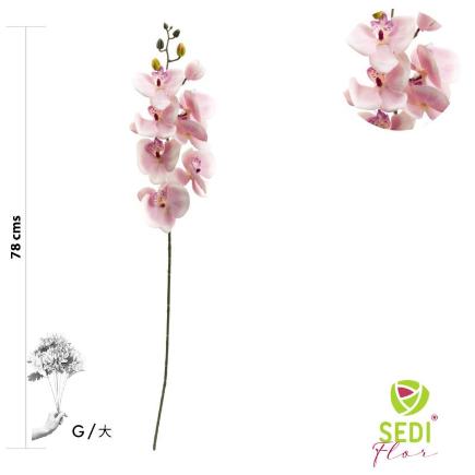 VARA ORQUIDEA 8 PETALOS 78 CM ROSA