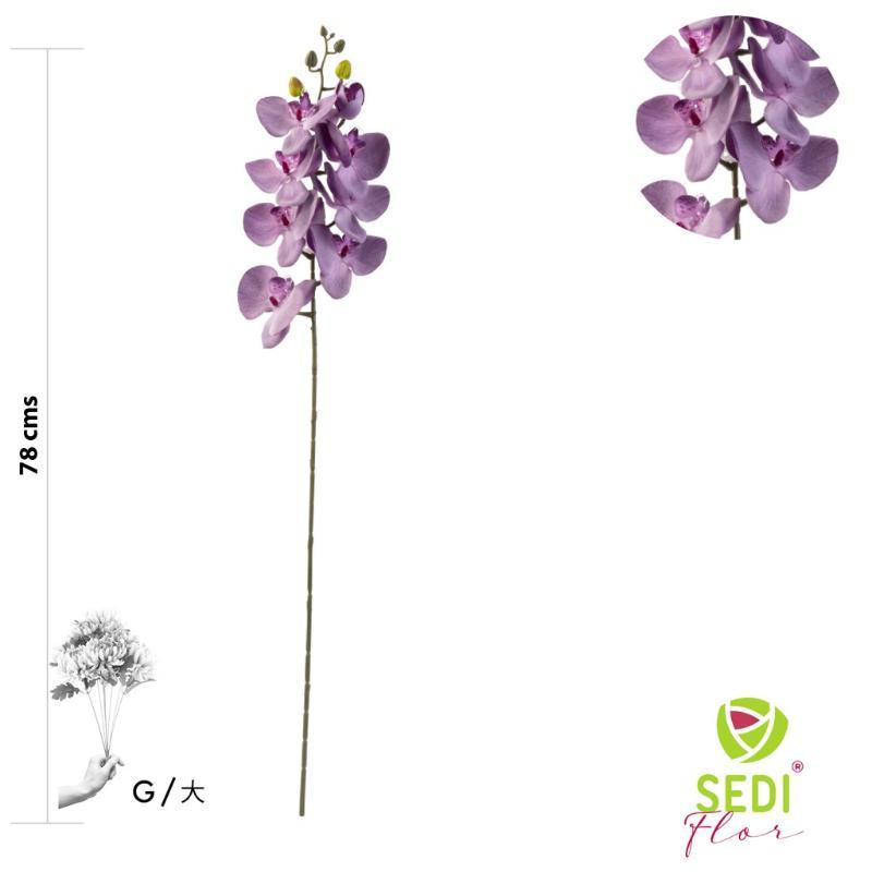 VARA ORQUIDEA 8 PETALOS 78 CM VIOLETA