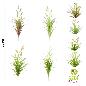 PLANTA SUCULENTA YUCCA ARTIFICIAL 25 CM SURT