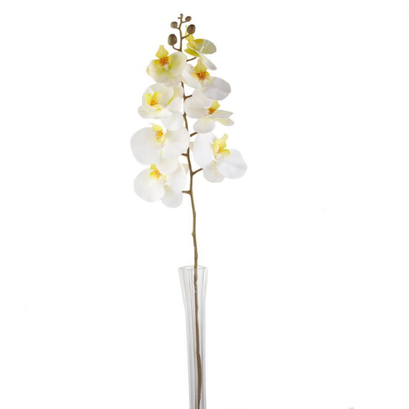 ORQUIDEA PHALAENOPSI 8 FLORES TN 93 CM BLANCO