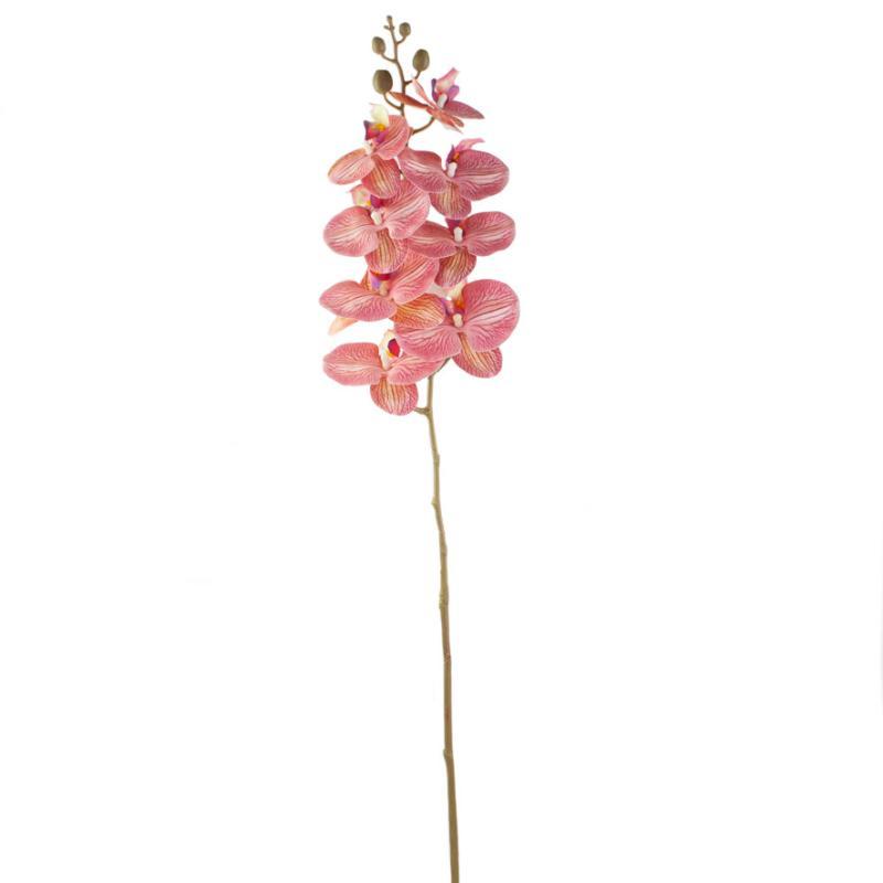 ORQUIDEA PHALAENOPSI 8 FLORES TN 93 CM ROSA CHICLE