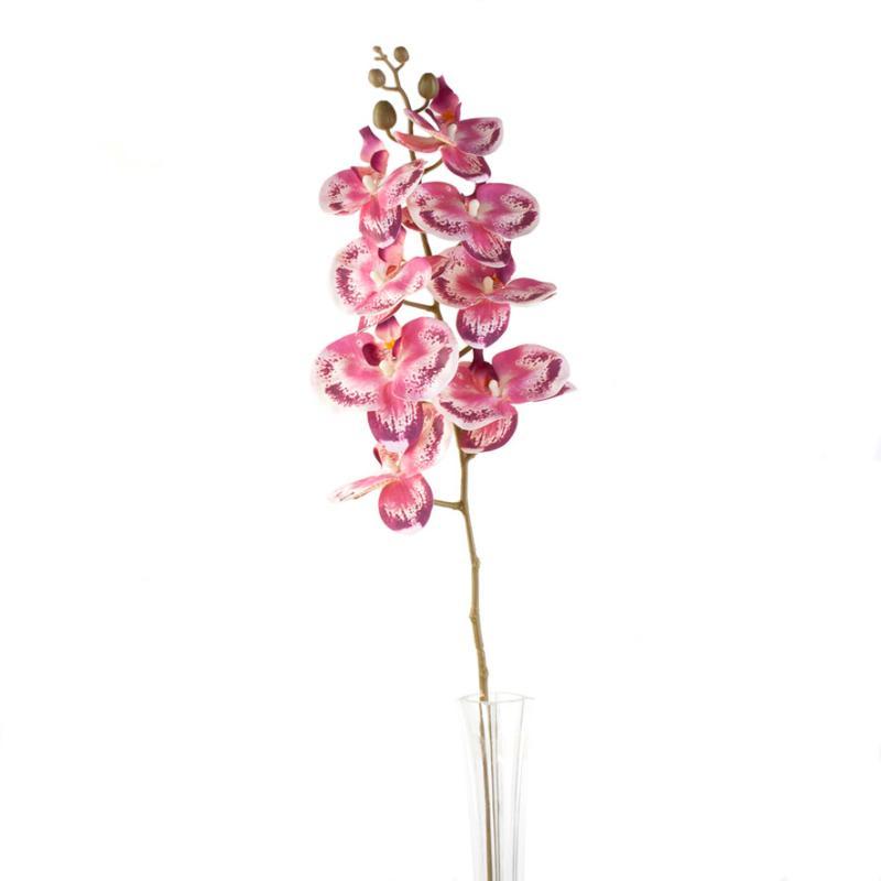 ORQUIDEA PHALAENOPSI 8 FLORES TN 93 CM ROSA