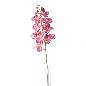 ORQUIDEA PHALAENOPSI 8 FLORES TN 93 CM ROSA