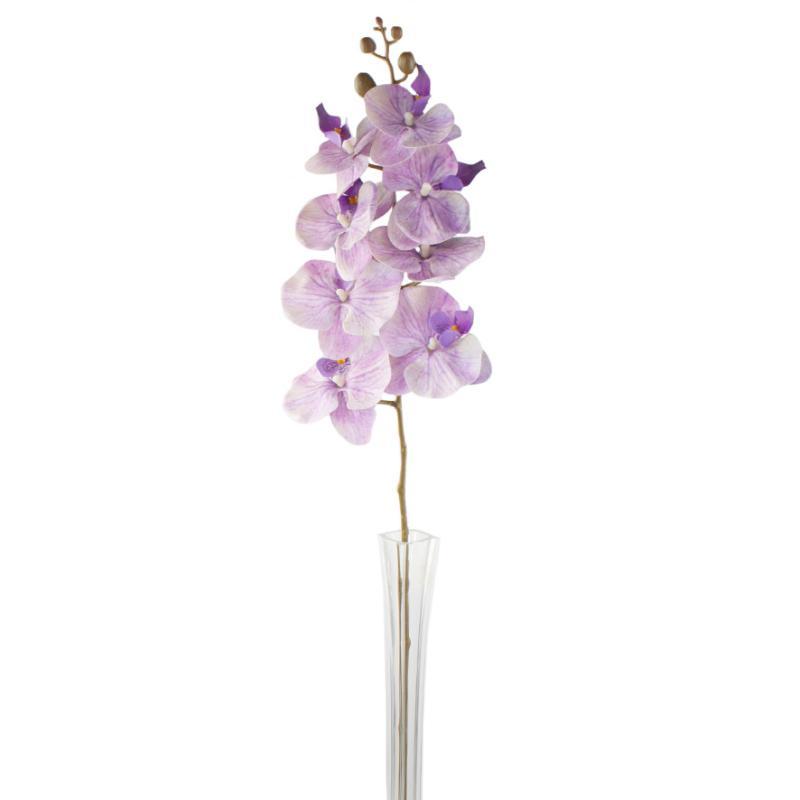ORQUIDEA PHALAENOPSI 8 FLORES TN 93 CM LILA