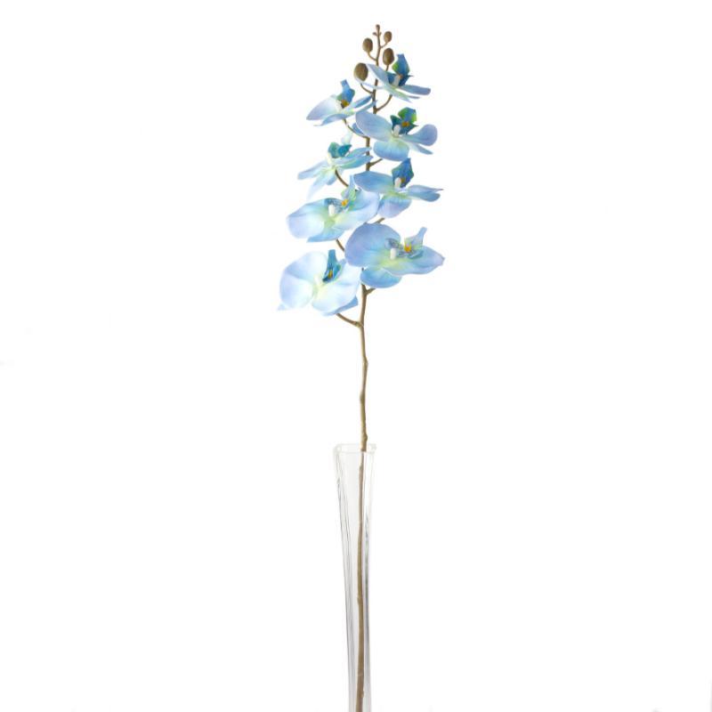 ORQUIDEA PHALAENOPSI 8 FLORES TN 93 CM AZUL