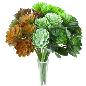 RAMO SUCULENTA 5 TALLO 26 CM SURT