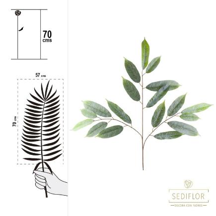 HOJA FICUS TN 57X70 CM