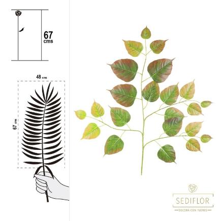 HOJA FICUS RELIGIOSA TN 48X67 CM