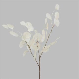 EUCALIPTO TRANSPARENTE X3 90 CM BLANCO