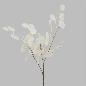 EUCALIPTO TRANSPARENTE X3 90 CM BLANCO
