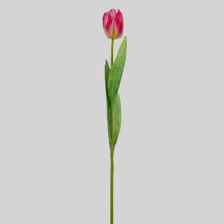 TULIPAN T/N X1 48 CM FUXIA