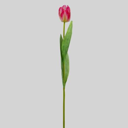 TULIPAN T/N X1 48 CM FUXIA