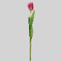 TULIPAN T/N X1 48 CM FUXIA
