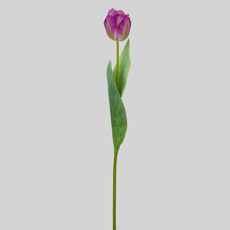 TULIPAN T/N X1 48 CM LILA
