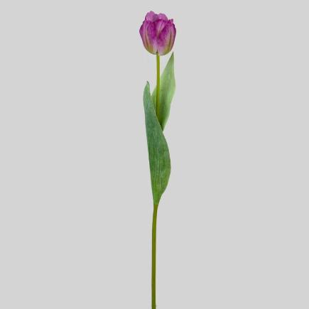 TULIPAN T/N X1 48 CM LILA