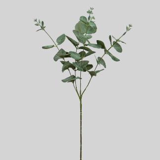 EUCALIPTO X4 60 CM