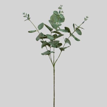 EUCALIPTO X4 60 CM