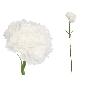 VARA CLAVEL MICROPEACH 59 CM BLANCO