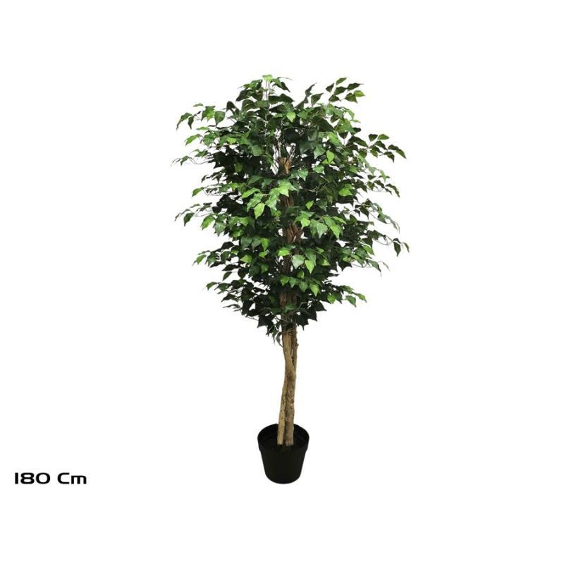 ARBOL FICUS NATUR T/N (F) 180 CM