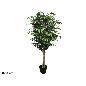 ARBOL FICUS NATUR T/N (F) 180 CM