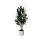 ARBOL OLIVO M/LUX T/NATURAL X3-120 CM
