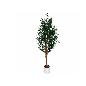 ARBOL OLIVO M/LUX T/NATURAL X3-180 CM