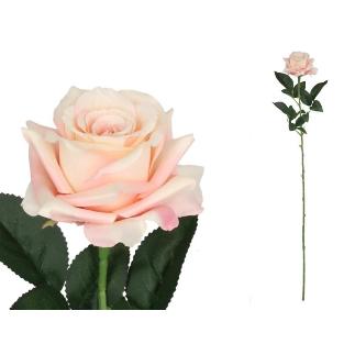 VARA ROSA CLASIC (S) 79 CM ROSA