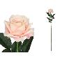 VARA ROSA CLASIC (S) 79 CM ROSA