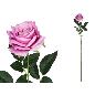 VARA ROSA CLASIC (S) 79 CM VIOLETA