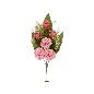 CONJUNTO CRISAN-CAP (A) X 9-52 CM ROSA
