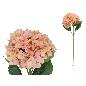 VARA HORTENSIA 69 CM TE