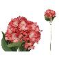 VARA HORTENSIA 69 CM BURDEOS