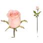 VARA CAPULLO CLASIC (A) 65 CM ROSA