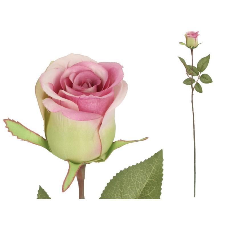 VARA CAPULLO CLASIC (A) 65 CM VIOLETA