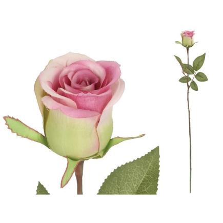 VARA CAPULLO CLASIC (A) 65 CM VIOLETA
