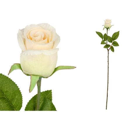 VARA CAPULLO CLASIC (A) 65 CM CREMA