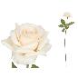 VARA ROSITA CLASIC (A) 64 CM CREMA
