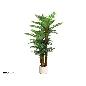 PLANTA PALMERA PHOENIX M/LUX X3 - 150 CM