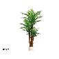 PLANTA PALMERA PHOENIX M/LUX X3 - 180 CM