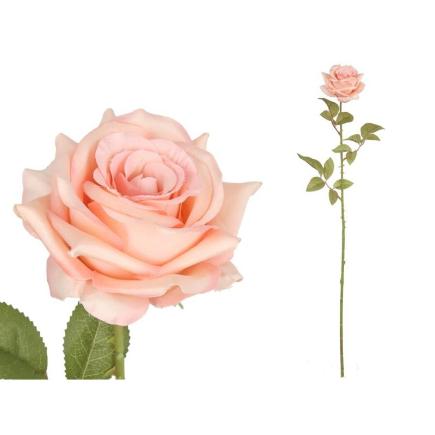 VARA ROSA CLASSIC (A) 79 CM ROSA
