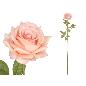 VARA ROSA CLASSIC (A) 79 CM ROSA