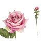 VARA ROSA CLASIC (A) 79 CM VIOLETA